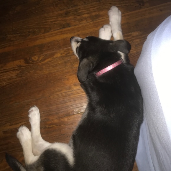 jimenezl14